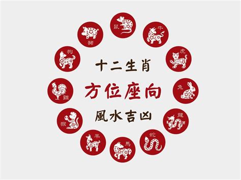 屬兔座向|肖兔座向及吉祥號碼數字